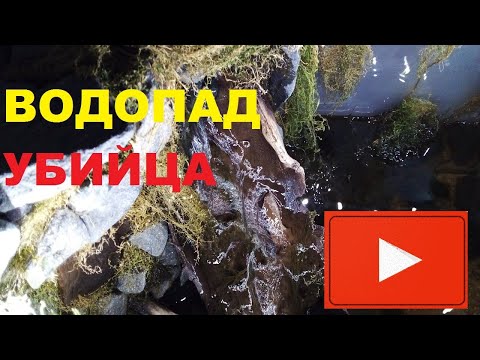 Водопад в аквариуме своими руками | Водопад в креветочник | Аквариумный яванский мох | Креветки |