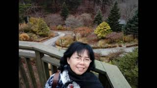 Download lagu SAKSI GITAR TUA    GONG 2000 mp3