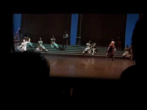 Le lac des cygnes - pas de 3 acte 1 - Bianca Scudamore