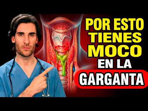 La SORPRENDENTE Causa de la FLEMA que NO Desaparece (y cómo ELIMINARLA para siempre)