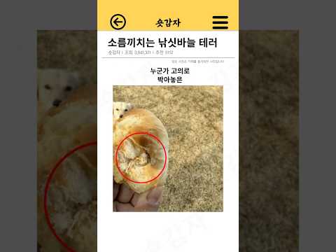 소름돋는 낚싯바늘 테러