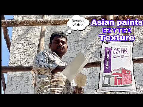 Wall Painting Service