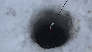 На какие лучше мормышки клюет лещ