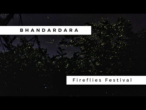 download lagu mp3 mp4 Fireflies Festival Mumbai 2019, download lagu Fireflies Festival Mumbai 2019 gratis, unduh video klip Fireflies Festival Mumbai 2019