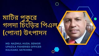 মাটির পুকুরে গলদা চিংড়ির পিএল উৎপাদন