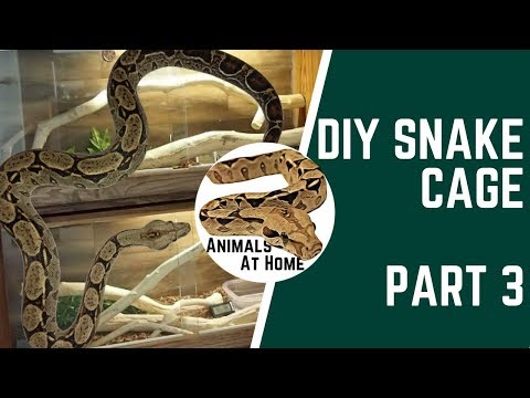 Diy Snake Cage 12 Steps With