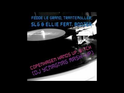 Fedde Le Grand, Trantemöller, SLG & Ellie - Copenhagen Hands Up, Bi7ch (DJ YcNagNag Mash-Up)