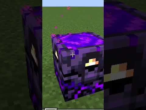This CRAZY Minecraft Video Went VIRAL! 👀🔥