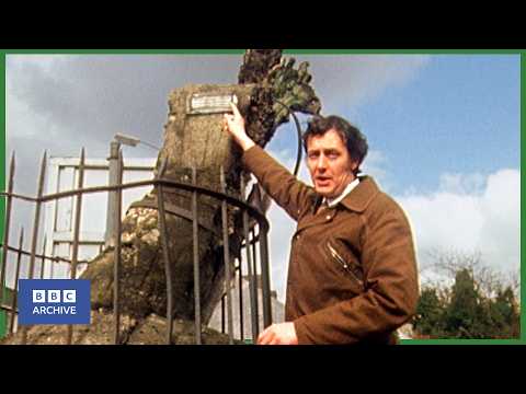 1975: The CARMARTHEN OAK - DARE anyone REMOVE it? | Nationwide | Weird and Wonderful | BBC Archive