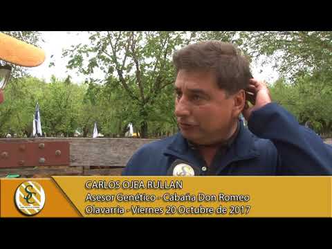 20-10-17 Nota Carlos Ojea Rullan - Cabaña Don Romeo - Olavarria.