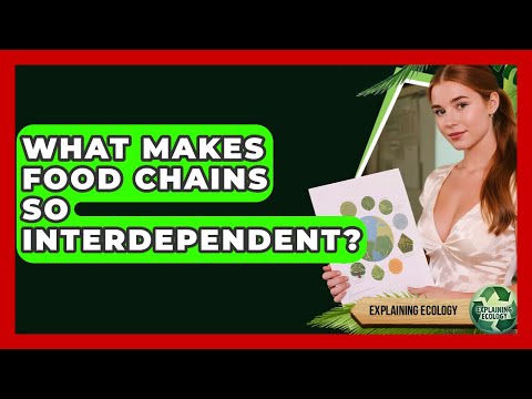 What Makes Food Chains So Interdependent? - Explaining Ecology