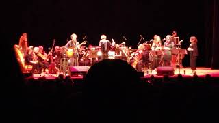 Iron &amp; Wine - Milkweed with Orchestra