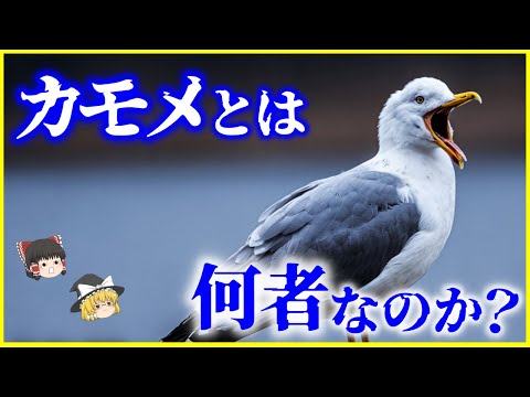 モンテイロのウミツバメについて詳しく解説