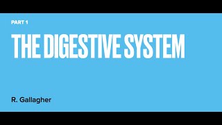 The Digestive system part 1
