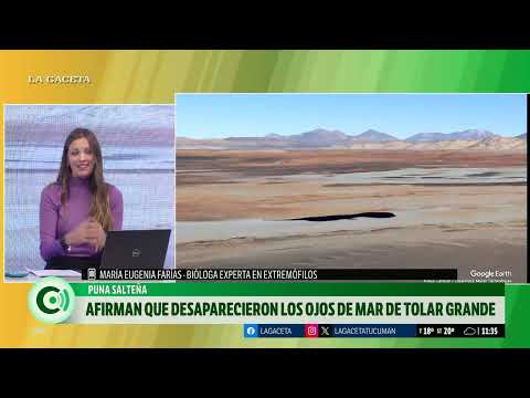 Desaparecieron los ojos de mar de Tolar Grande en la puna salteña debido a unas obras turísticas