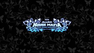 Swedish House Mafia - Valodja