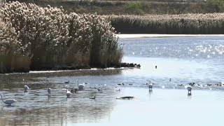 State moves to stabilize Meadowlands tax share program