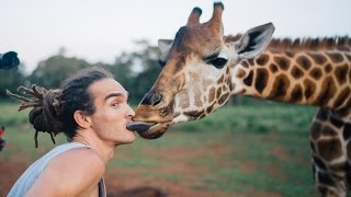 KISSING A GIRAFFE!