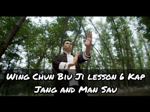 Wing Chun Biu Jee (Biu Ji ) Third Form - lesson 6