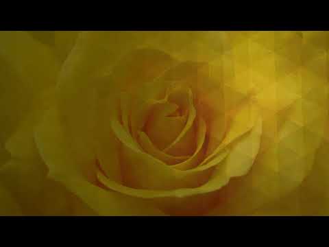 Volkan Erman & Franzis-D - Amarillo (Fabio Orru Remix) [Estribo Records]