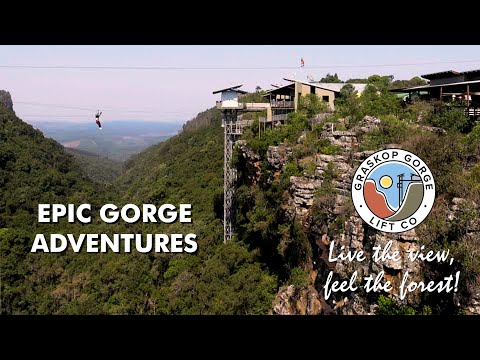 Discover Graskop Gorge Lift | Forest Walks, Big Swing, Zip-Lines, Cliff Walks & Family-Friendly Fun