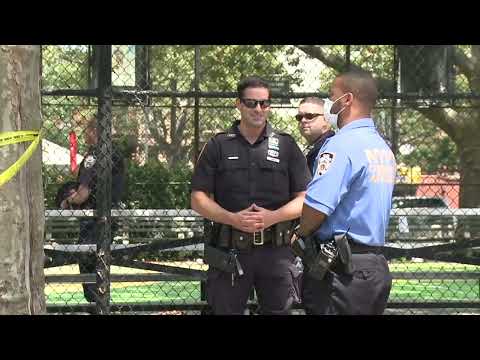 NY Shooting Rates Decline