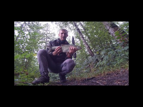 NYSA#OKOLICE#SPINNING#SZCZUPAK#POPER#BOLEŃ