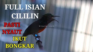 Download lagu HUMMINGBIRDS SOUND LIKE CRESTED BIRDS OR CILILINS mp3