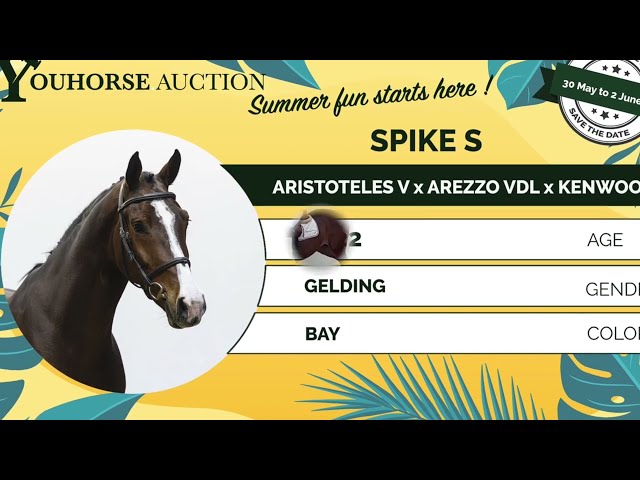 Spike S