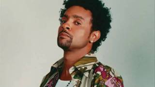 independent ladies - shaggy.wmv