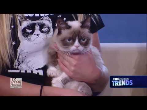 Grumpy Cat Brings Grumpy Lawsuit Over Infringement of Intellectual Property  – The Hollywood Reporter
