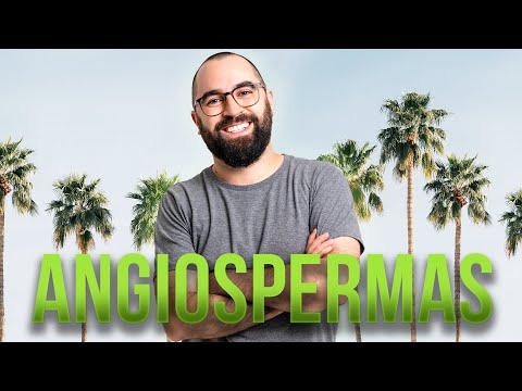 Angiospermas - Aula 05 - Módulo 5: Botânica