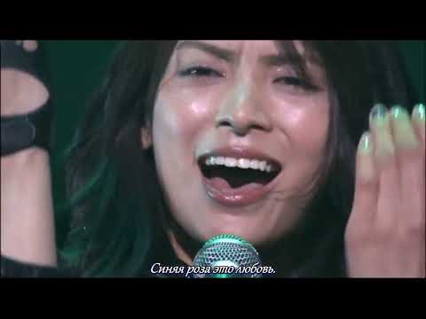 AKB48  Blue Rose (russub)