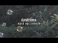 Dandelions Sped Up Reverb