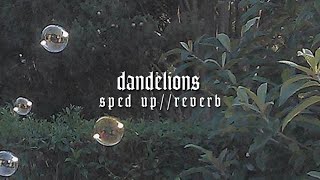 dandelions - sped up//reverb
