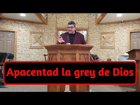 Apacentad la grey de Dios - 1 Pedro 5:1-14