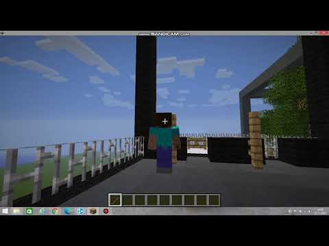Minecraft Kabát na střeše Lady Gag a Rin