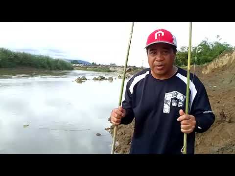 Maraming Holi na Tellapia kahit Tumataas Ang Tubig sa Ellog 