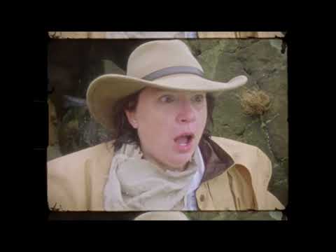 North Western Blood (Straight8 2024 Entry)