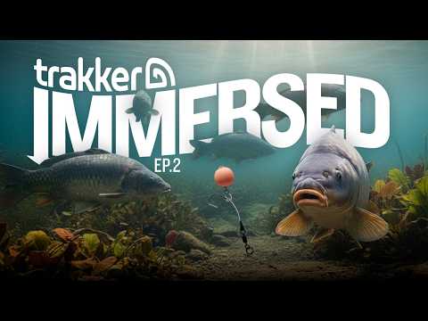 Immersed Ep.2 | See below the depth with Frank Warwick & Forbidden Routes | Underwater Fishing