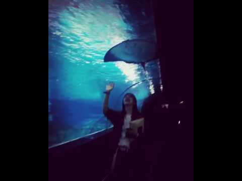 160531 Euijin - Instagram Video