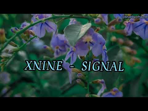 [ SUBINDO ] XNINE Vocal Line - SIGNAL