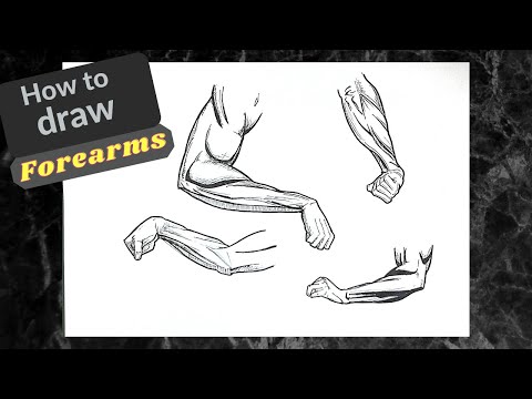 How to draw Forearms anatomy for artists