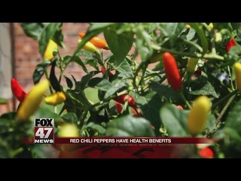 Red chili peppers have health benefits