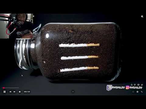 Cigarette in soil 1 year Time Laps