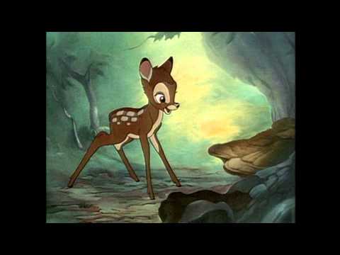 Magic English 01 DVD - Hello