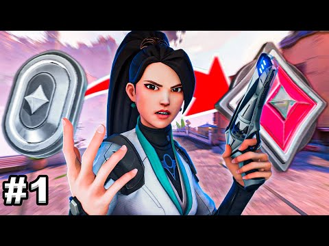 Do FERRO ao IMORTAL só de SAGE #1 - O Início!