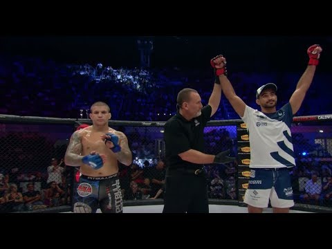 Bellator 203: Fantastic Finishes