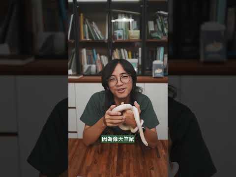 蛇蛇貓貓混養？