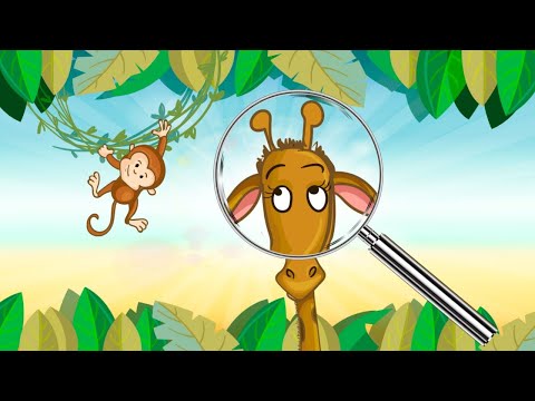 Find the difference Video